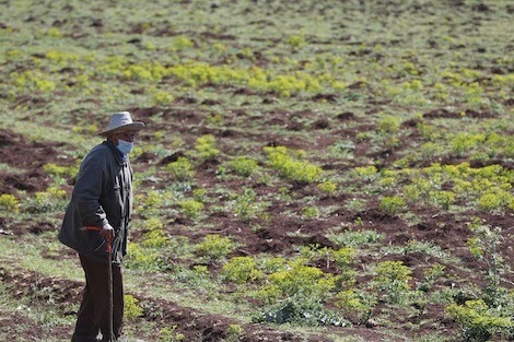 ماذا أعدت الحكومة لأزمة الجفاف الزاحفة على المغرب؟