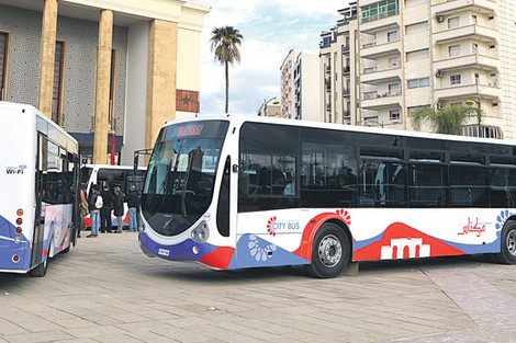 15citybus.jpg