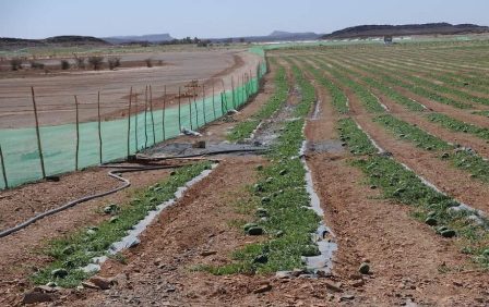المغرب مقبل على ندرة المياه في السنوات المقبلة
