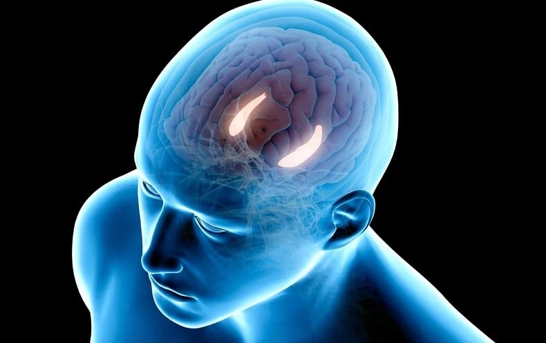 التوتر يؤدي إلى تقلص الدماغ min