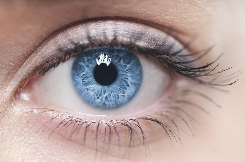 تجربة ثورية بالعين قد تساعد على إيقاظ دماغ الميت min