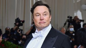 هل تمكن Elon Musk من إطلاق شبكته الاجتماعية الخاصة