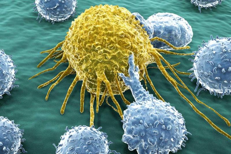 أشياء اكتشف الباحثون في عام 2022 أن السرطان مرتبط بها