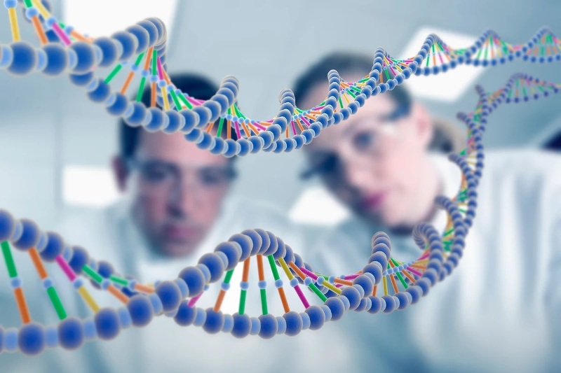 لغز جينوم البشر.. أسرار ذاكرتنا وكيف نتقدم بالعمر