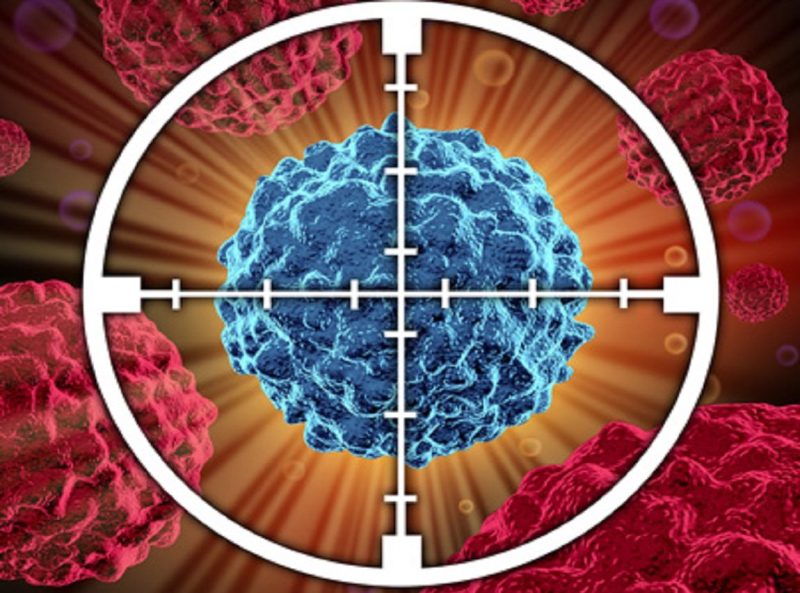 تدريب الخلايا المناعية لاكتشاف السرطان