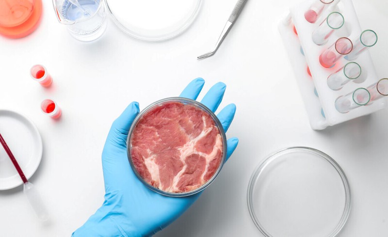 هل اللحوم المزروعة في المختبر نباتية؟