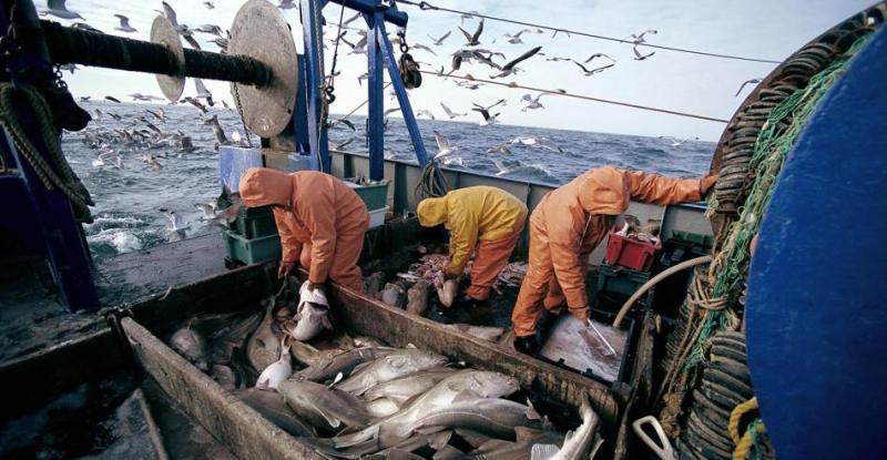 L’accord de pêche entre le Maroc et l’Union européenne.  Voici les scénarios suggérés