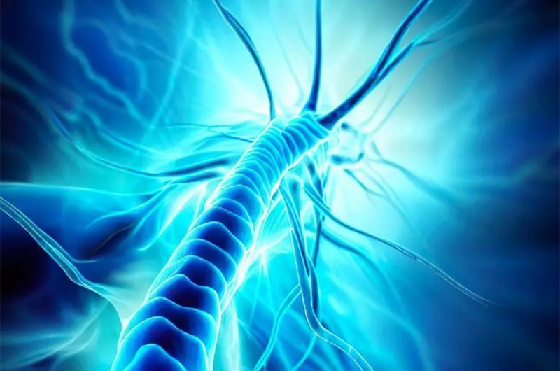 علماء يبتكرون مادة كهرومغناطيسية لإصلاح الأعصاب التالفة