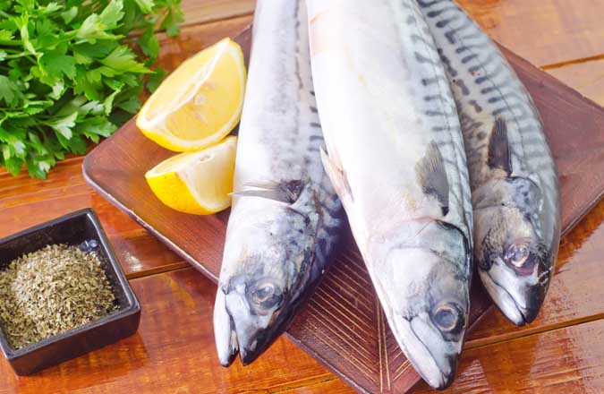 فوائد تناول الأسماك الزيتية للصحة