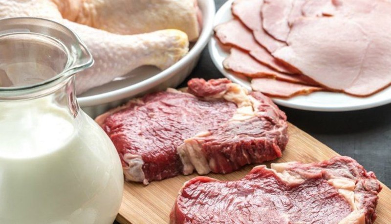 ما هي البدائل النباتية لمنتجات اللحوم والألبان ؟