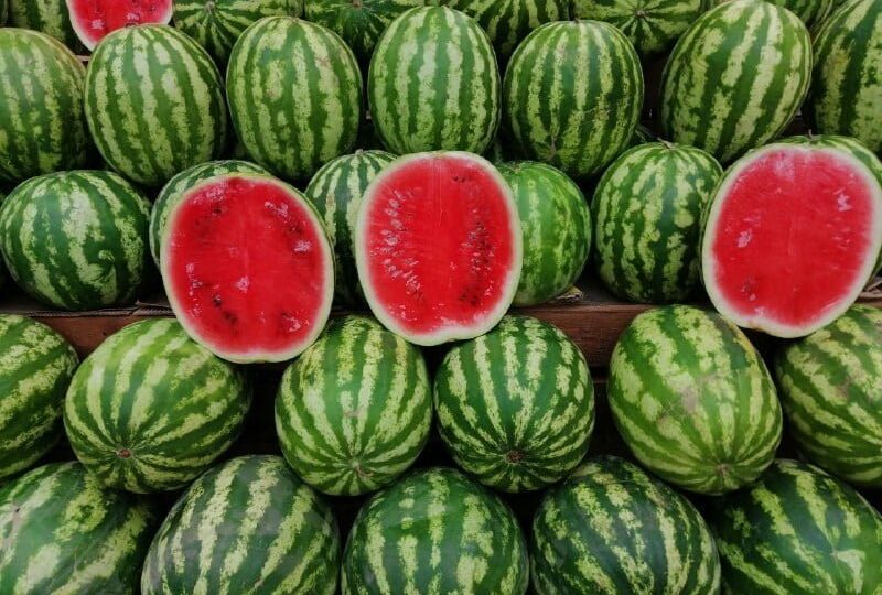 watermelon 800x540 1
